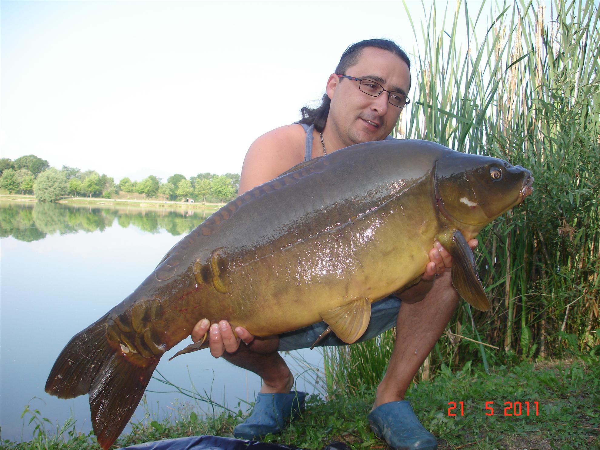 THE BIGS OF 2011 - p1000101.JPG